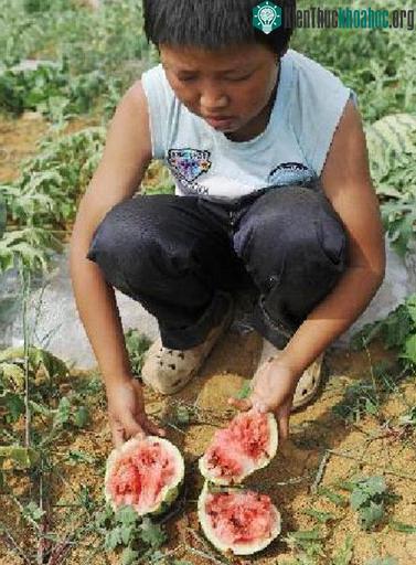 Hạn hán nặng ở Trung Quốc