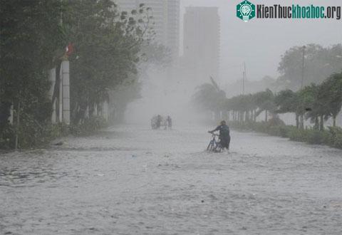 Bão Nesat làm 18 người Philippines thiệt mạng ảnh 6