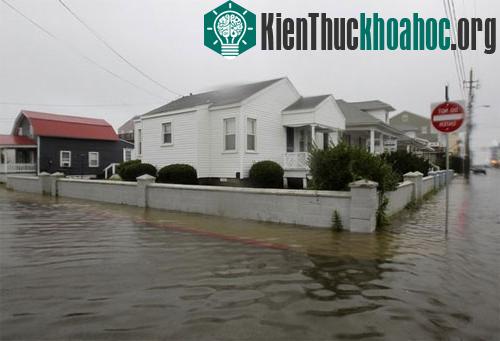 Bão Irene tiếp tục hoành hành nước Mỹ ảnh 6