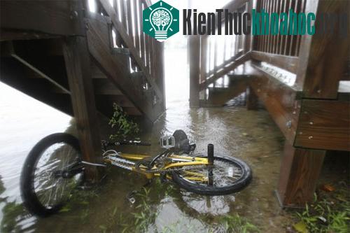 Bão Irene tiếp tục hoành hành nước Mỹ ảnh 8