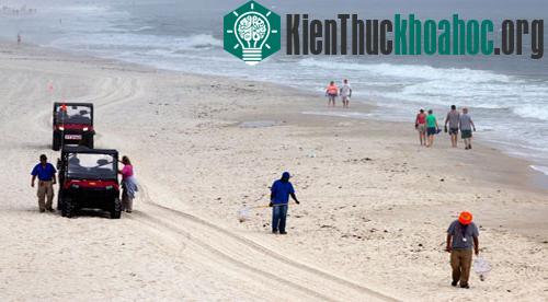Vịnh Mexico: Một năm sau thảm họa tràn dầu ảnh 9