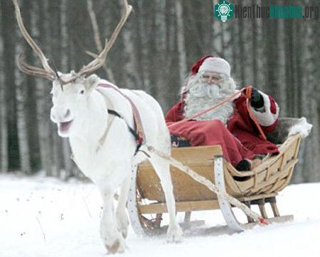 Bạn đồng hành của ông già Noel bị đe dọa ảnh 0