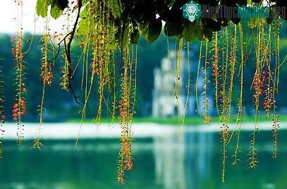 Thí nghiệm hút tách bùn hồ Gươm ảnh 0