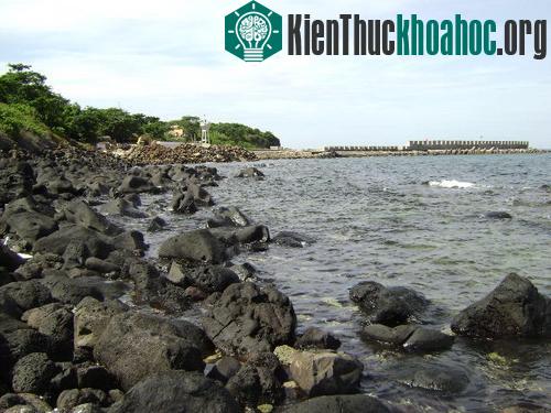 Thành lập khu bảo tồn biển đảo Cồn Cỏ ảnh 0