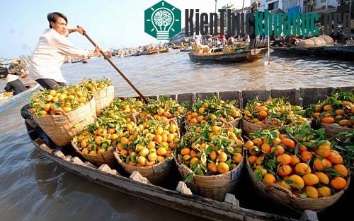 3 phương án ứng phó với biến đổi khí hậu ảnh 0