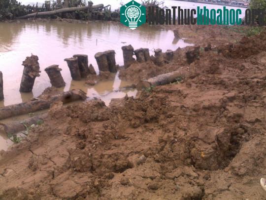 An Giang và Kandal hợp tác phòng chống lụt bão ảnh 0