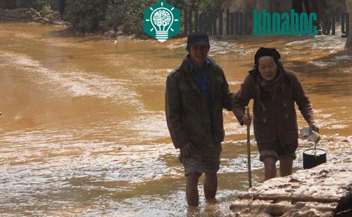 “Lũ bùn đỏ” gây hại như thế nào? ảnh 0