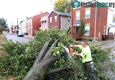 Bão lớn càn quét miền Trung Tây nước Mỹ ảnh 0