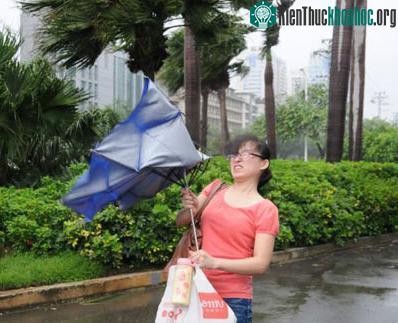 Bão mạnh nhất trong năm đổ bộ vào Trung Quốc ảnh 0