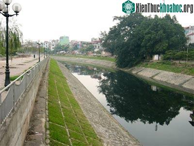 Làm sạch nước sông Tô Lịch bằng hóa chất ảnh 0