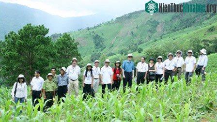 4,5 triệu USD chống biến đổi khí hậu tại Việt Nam ảnh 0