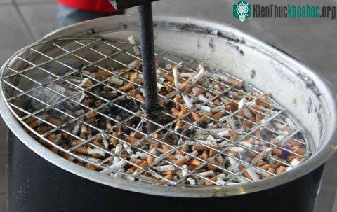Dùng đầu lọc thuốc lá để chống gỉ sắt thép ảnh 0