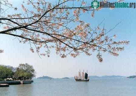 Thả cá chống ô nhiễm nước tại Trung Quốc ảnh 0