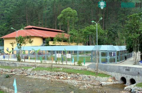Khu bán hoang dã đầu tiên dành cho gấu ở Việt Nam ảnh 0