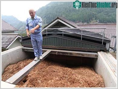 Tiềm năng của lâm nghiệp đô thị ảnh 0