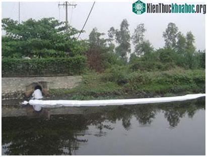 TP.HCM: Ô nhiễm đe dọa nguồn nước máy ảnh 0