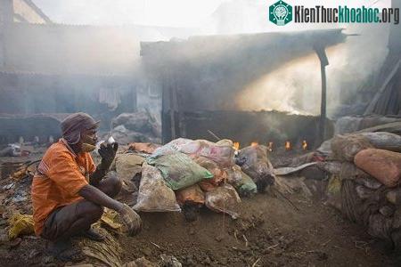 Trong 10 năm qua loại chất thải độc hại này đã tăng gấp hơn 10 lần. Nguồn: vietbao.vn