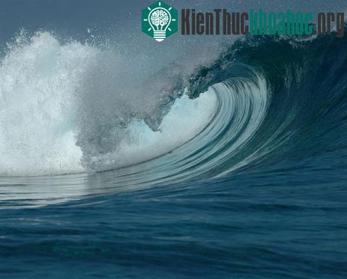 Những cơn sóng thần không thể dự báo trước ảnh 1