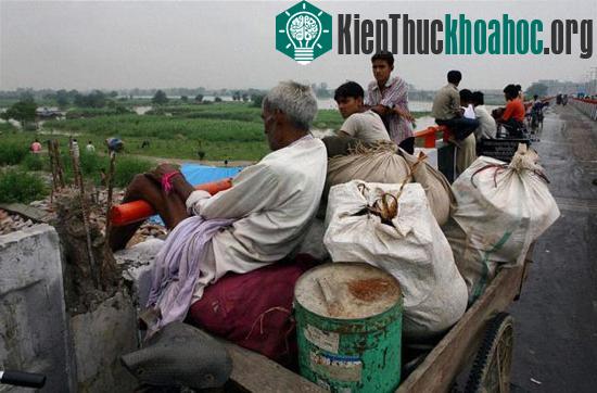 Ấn Độ: lũ lụt làm 10 người chết, 300.000 người sơ tán ảnh 1