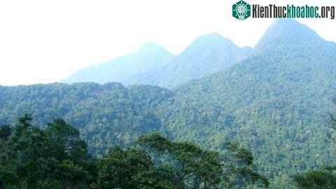 Chống phát thải CO<sub>2</sub>: Việt Ɲam đi đầu khu vực ảnh 1