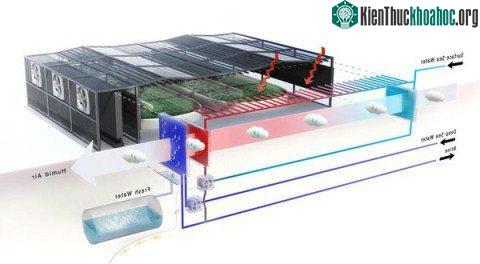 Xanh hóa sa mạc bằng công nghệ ảnh 1
