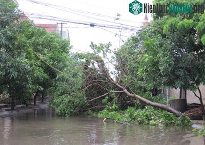 Nghệ An: Bão số 3 gây thiệt hại lớn ảnh 15