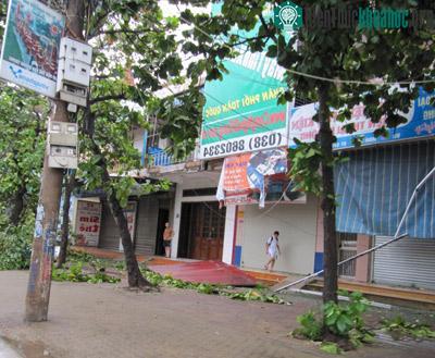 Nghệ An: Bão số 3 gây thiệt hại lớn ảnh 17