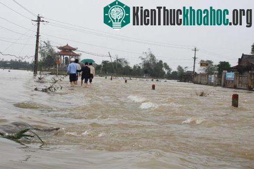 Bình Định: thêm 2 người chết do lũ ảnh 2
