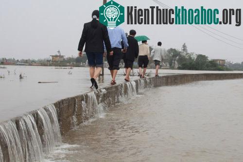 Bình Định: thêm 2 người chết do lũ ảnh 3