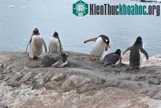 8 hậu quả chưa biết của biến đổi khí hậu ảnh 3