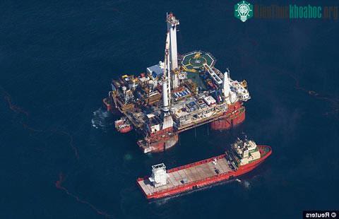 Dùng tóc để 'cứu' vịnh Mexico ảnh 3
