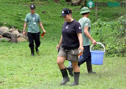 Khu bán hoang dã đầu tiên dành cho gấu ở Việt Nam ảnh 3