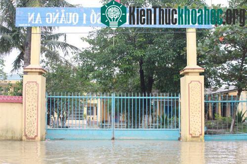 Bình Định: thêm 2 người chết do lũ ảnh 4