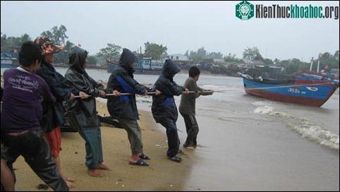 Miền Trung: Nhiều tàu thuyền gặp nạn, mắc kẹt trên biển ảnh 5