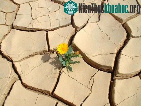 8 hậu quả chưa biết của biến đổi khí hậu ảnh 5