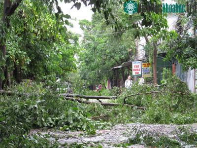 Nghệ An: Bão số 3 gây thiệt hại lớn ảnh 5