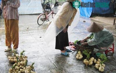 Trung bộ khắc phục lũ, miền Bắc đón đợt lạnh mới ảnh 6