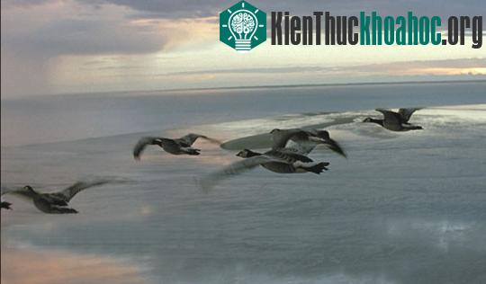 8 hậu quả chưa biết của biến đổi khí hậu ảnh 6