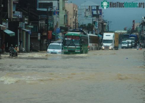 Trung Bộ dập vùi trong mưa lũ ảnh 7