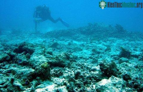 Những người bị ảnh hưởng nhất vì trái đất nóng lên ảnh 8