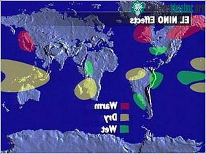 Ảnh minh họa những ảnh hưởng của El Nino ở các khu vực