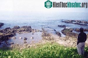 Cảnh báo tình trạng ô nhiễm biển ảnh 0