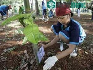 Hi vọng về một thỏa thuận cứu loài người ảnh 0