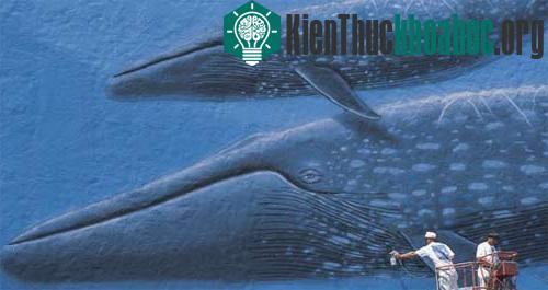 Dùng nghệ thuật để bảo vệ môi trường tự nhiên ảnh 0