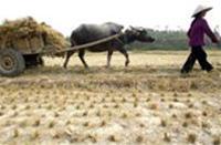 "Thế giới sẽ bốc hỏa" ảnh 0