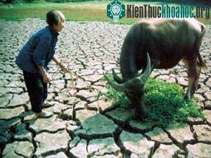 Trung Quốc: Hạn hán kéo dài, mưa lụt kỷ lục ảnh 0