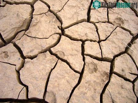 Một thành phố “hiện hình” từ mặt nước ảnh 0