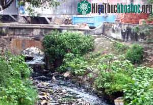 Sông Nhuệ, sông Đáy có nguy cơ bị ’’khai tử’’ ảnh 0
