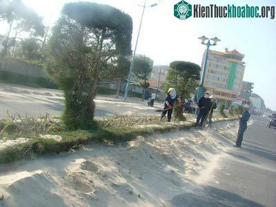 "Bão cát" hoành hành Vũng Tàu ảnh 0