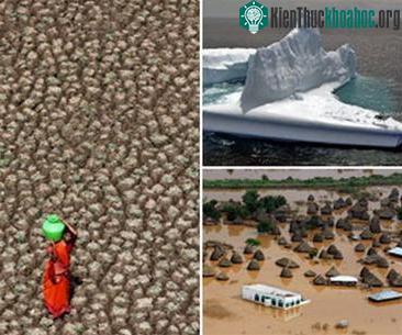 Gần 1/3 loài động thực vật có nguy cơ tuyệt chủng vì thay đổi khí hậu ảnh 0